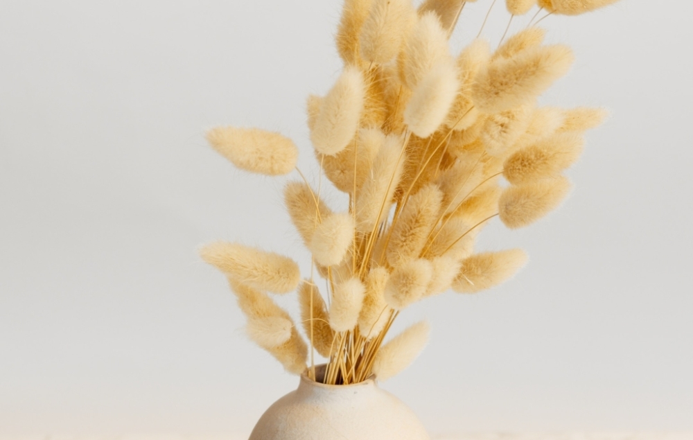 La magie de la décoration minimaliste : astuces de rangement pour un intérieur 